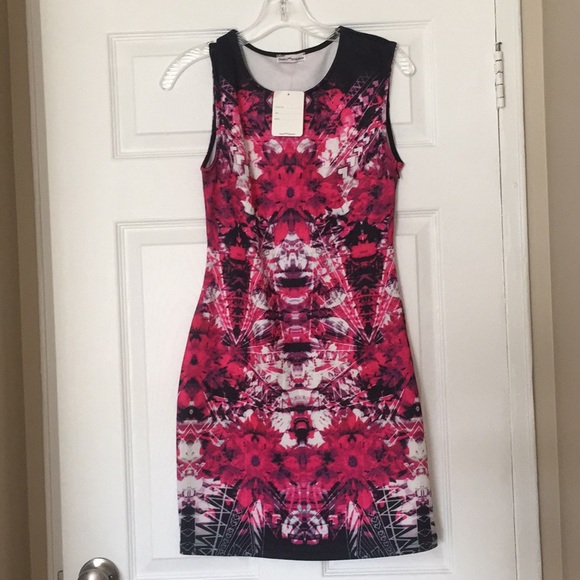 dainty hooligan dresses